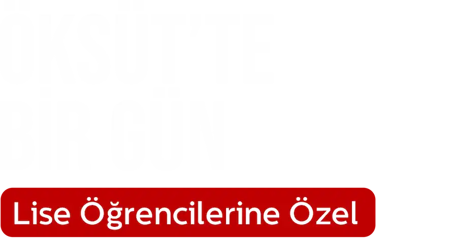 ludi