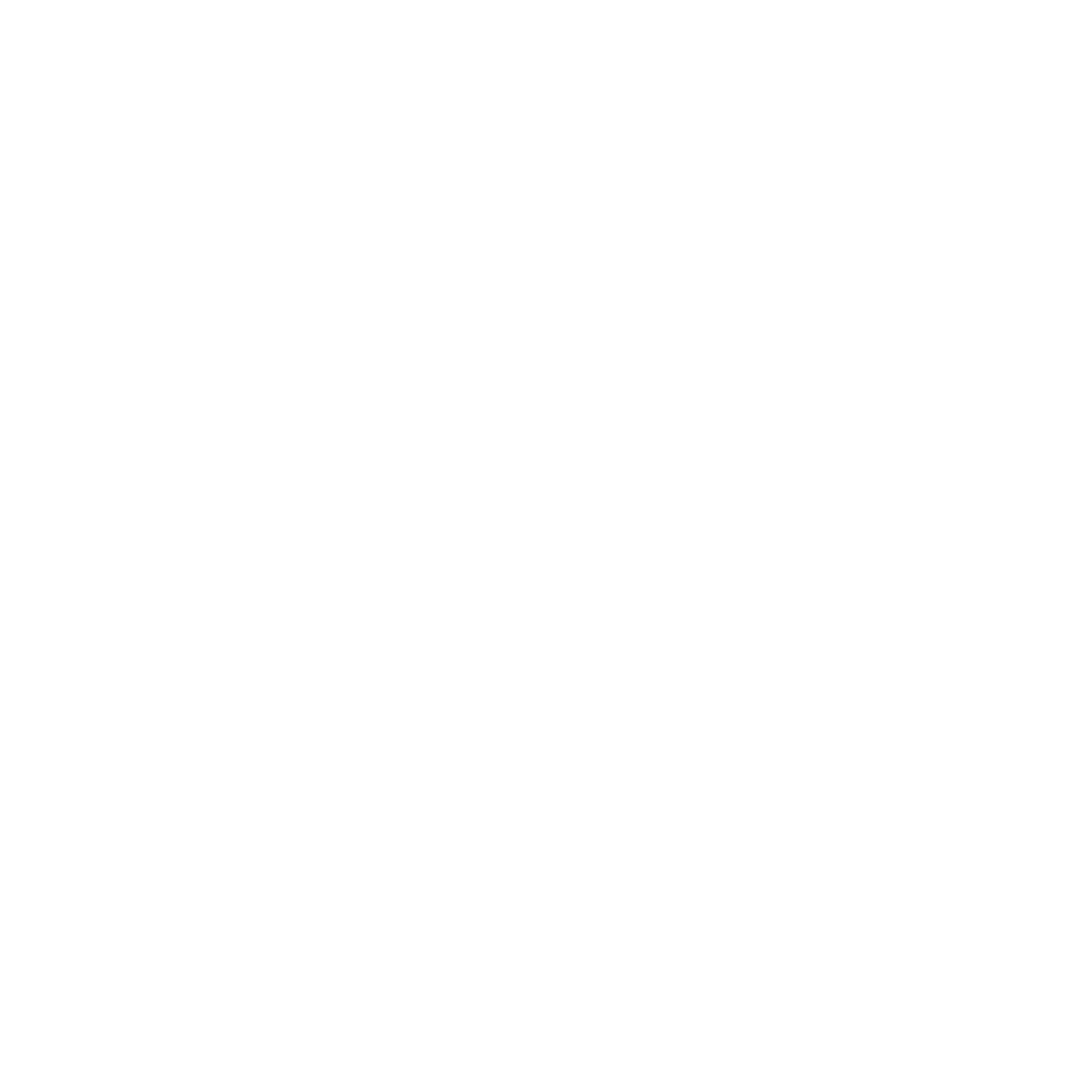 Ludi